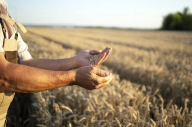 Скільки насправді коштує земля в Україні