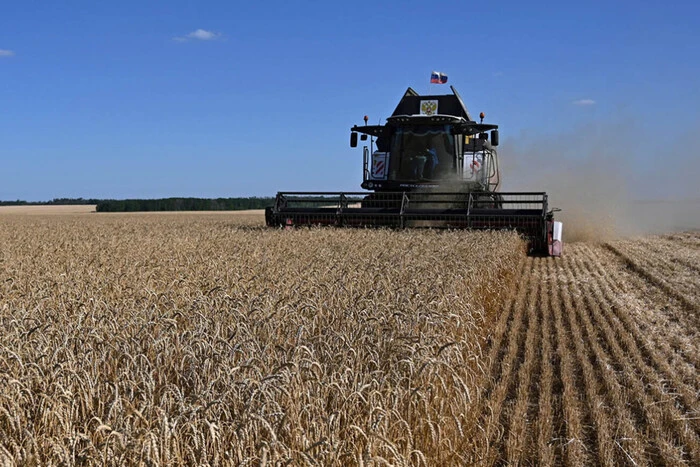 Російські аграрії опинилися на межі кризи після ударів по портах