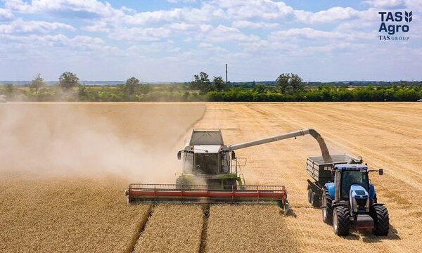 “ТАС Агро” завершив жнива ранніх зернових та олійних культур на 33,5 тис. га