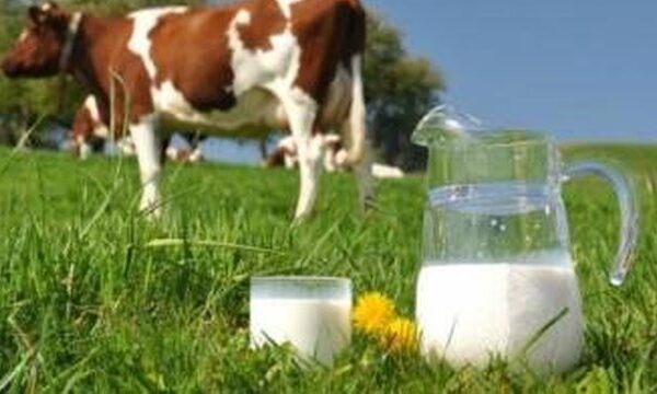 За порушення вимог щодо обігу молочної продукції за 7 міс.&hellip;