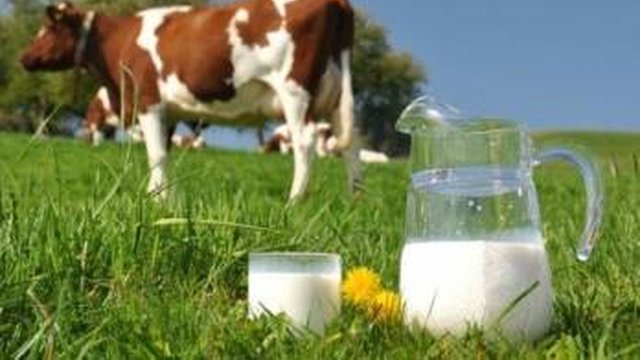 За порушення вимог щодо обігу молочної продукції за 7 міс. накладено штрафів на 570,7 тис. грн – Держпродспоживслужба