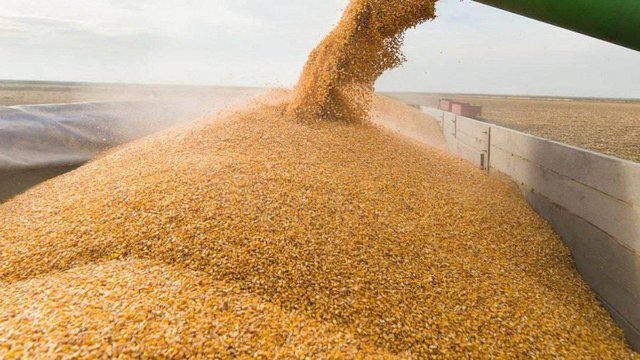 Експорт зернових з України за перший місяць нового сезону на 55% перевищив минулорічний показник