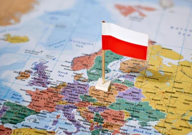 Якщо всі українці в Польщі не вийдуть на роботу, економіка зупиниться — заступник міністра ВС Польщі