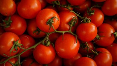red cherry tomatoes
