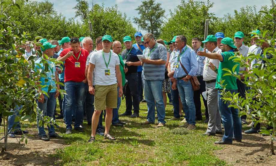 Сад із власною метеостанцією: інновації господарства Україна