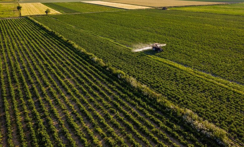 agriculture, tractor, field, land, farmland, tractor, tractor, tractor, tractor, tractor, farmland, farmland, farmland