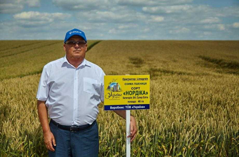 12 т зернових за годину: особливості насіннєвого заводу Україна