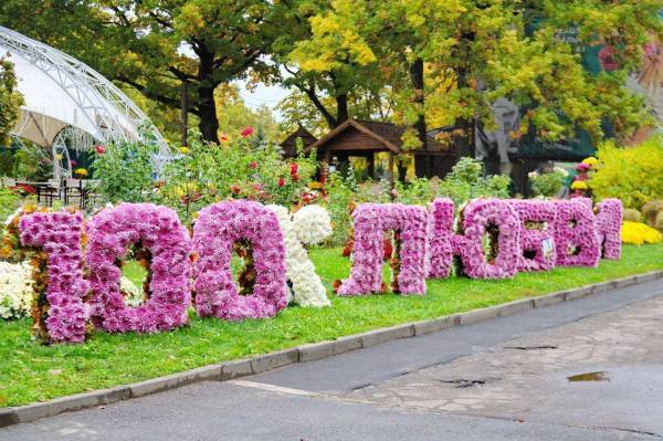 Екопарк Харкова залишається: офіційна заява