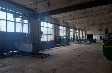 Деревообробний комплекс на Чернігівщині виставили на продаж