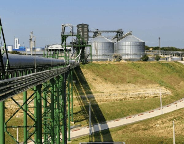 Захоплення зернового терміналу на Одещині: керівництво заявило про рейдерство